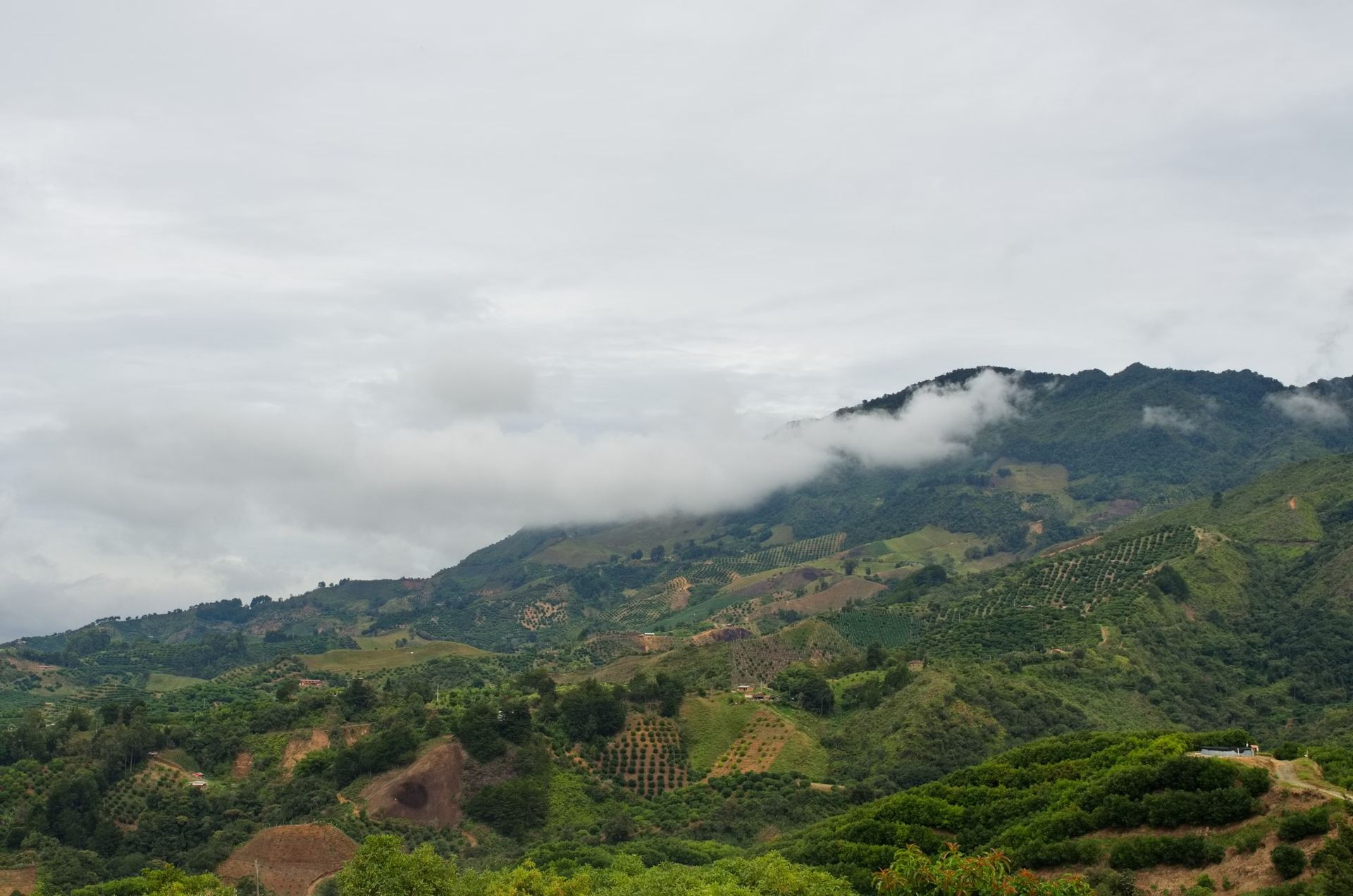 Huila al Límite
